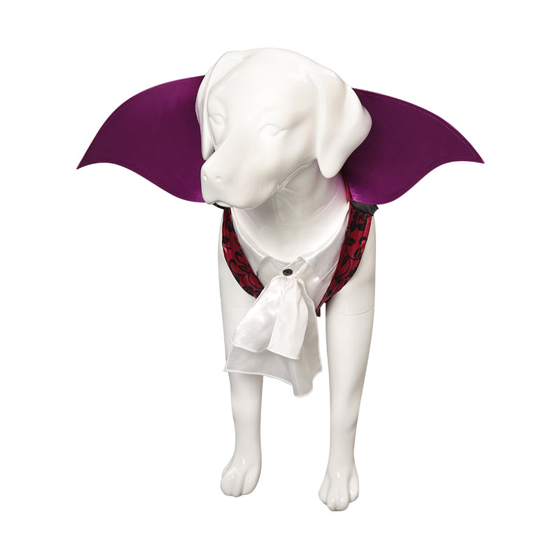 bat Cosplay Costume Outfits Halloween Carnival Party Suit Halloween dog vampire costume