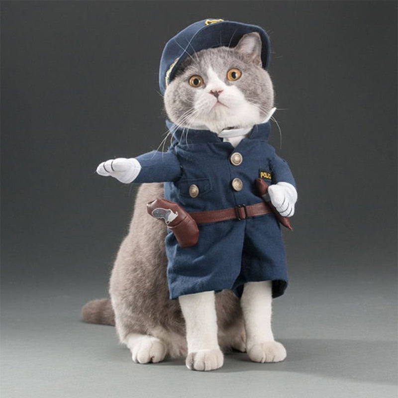 Cats Clothes Firecrackers Corsair Cowboy Cute Costumes