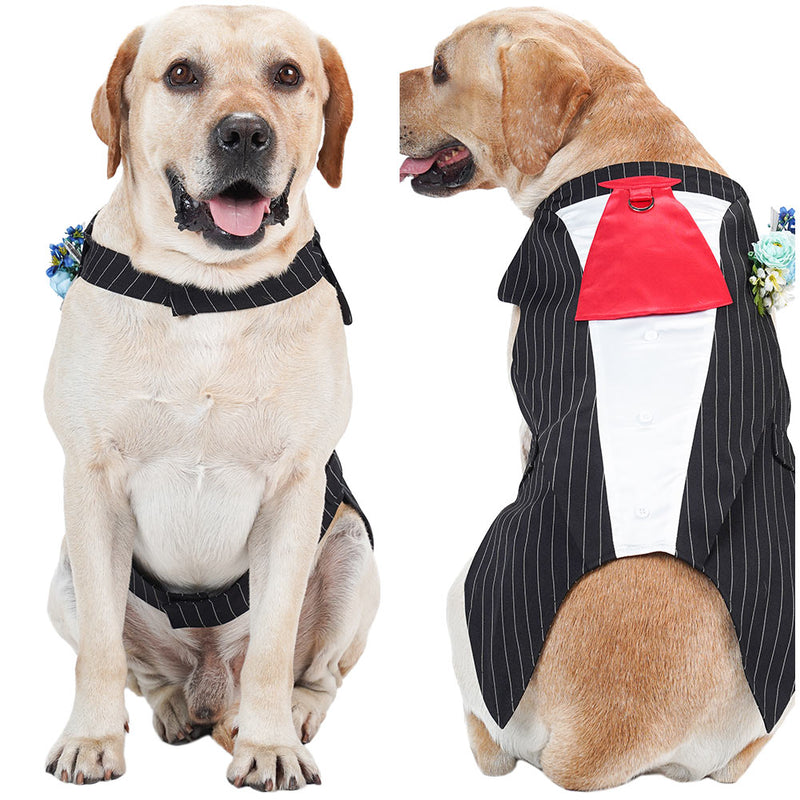 Cosplay Costume Outfits Halloween Carnival Party Suit Stripe Pet Tuxedo Tie