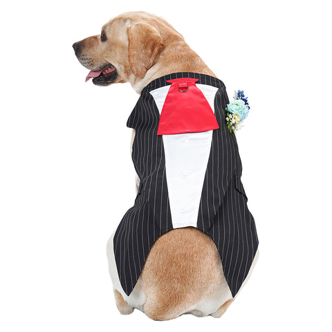 Cosplay Costume Outfits Halloween Carnival Party Suit Stripe Pet Tuxedo Tie